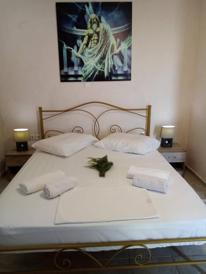 Villa Hellas Afiartis Екстериор снимка